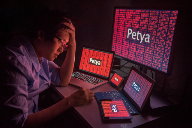 NotPetya Solarwinds Microsoft seguros cibernéticos