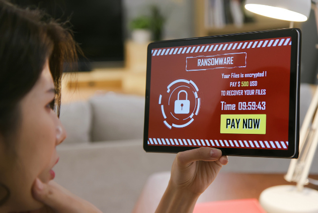 O CISA (Cybersecurity & Infrastructure Security Agency) lançou a ficha técnica Protegendo informações confidenciais e pessoais de violações de dados causadas por ransomware para abordar o aumento de cibercriminosos usando ransomware para exfiltrar dados e ameaçar vender ou vazar os dados exfiltrados se a vítima não pagar o resgate. Essas violações de dados, muitas vezes envolvendo informações confidenciais ou pessoais, podem causar perdas financeiras para a organização vítima e minar a confiança do cliente.